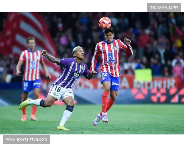 西甲反歧视委员会调查马竞球迷种族歧视事件